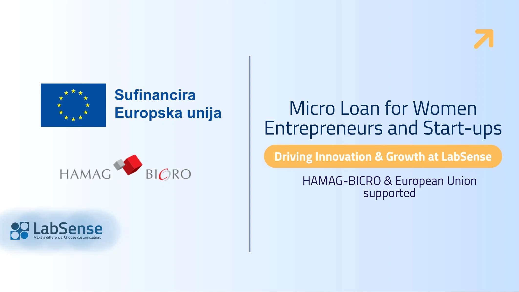 Micro Loan for Women Entrepreneurs and Start-ups